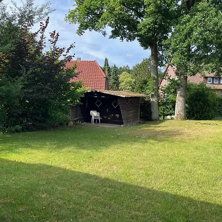 Heidezeit - In Mueden
